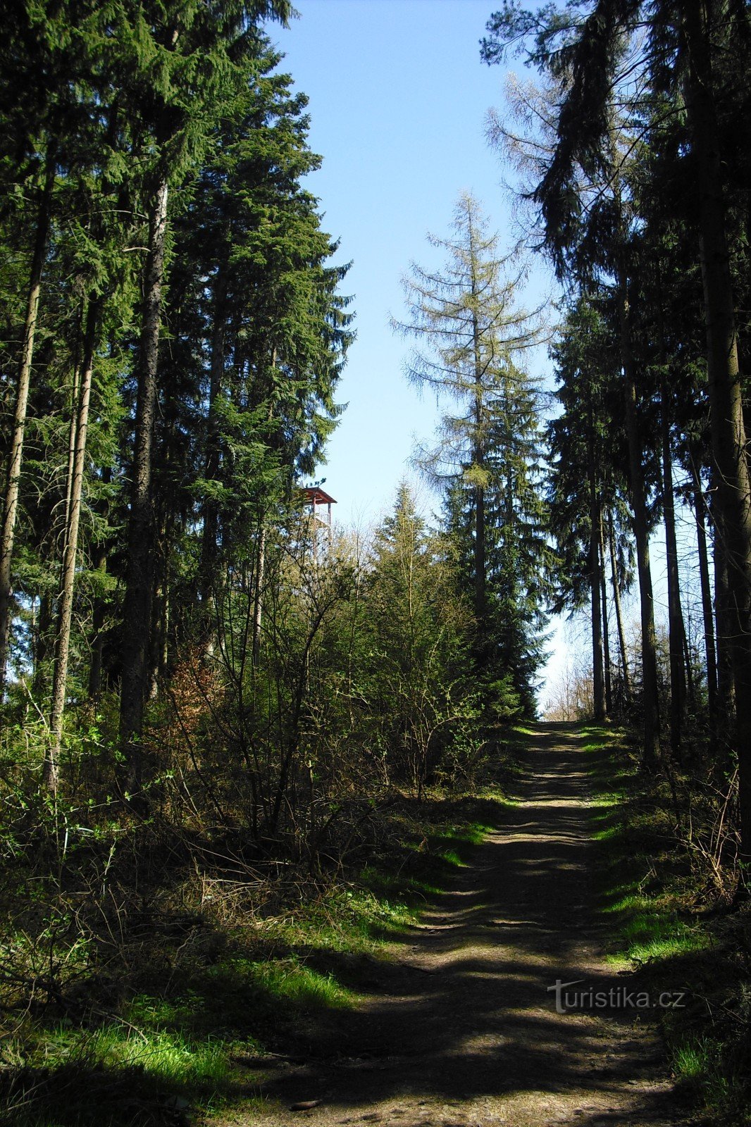 Tour de guet Pastýřka près de Moravská Třebová