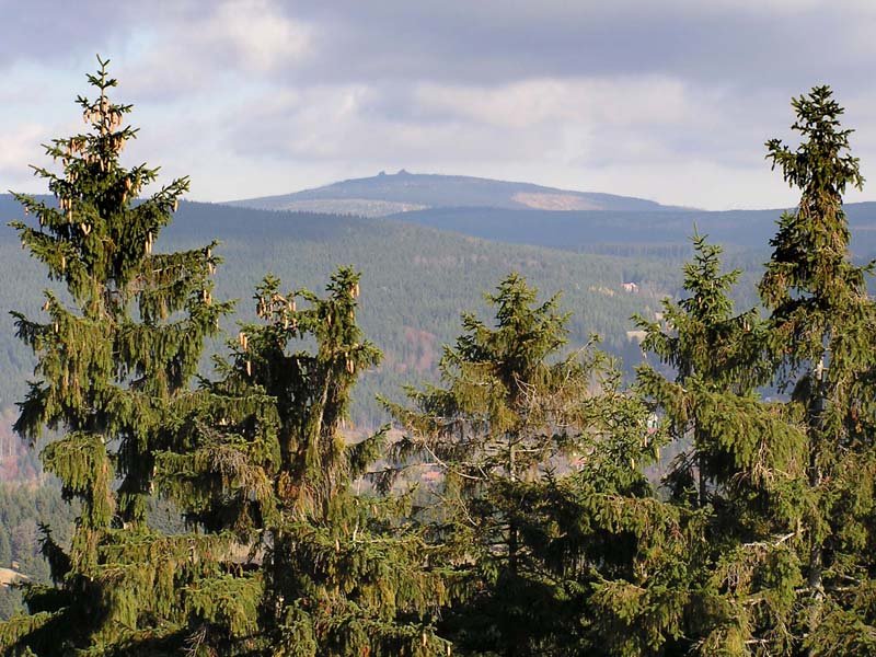 Slovanka lookout tower