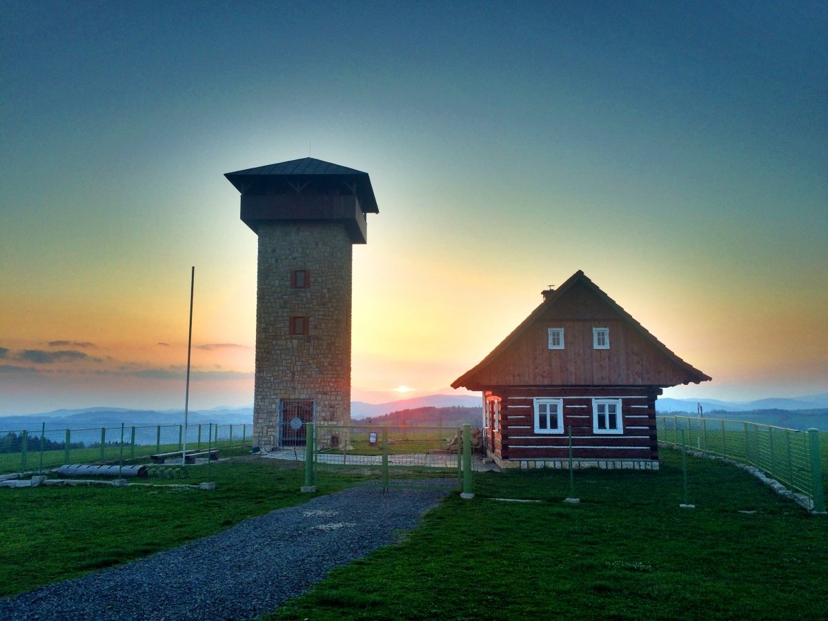 Miradouro no pinheiro