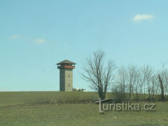 Punkt widokowy na sośnie