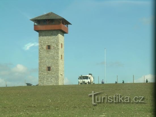 Punkt widokowy na sośnie