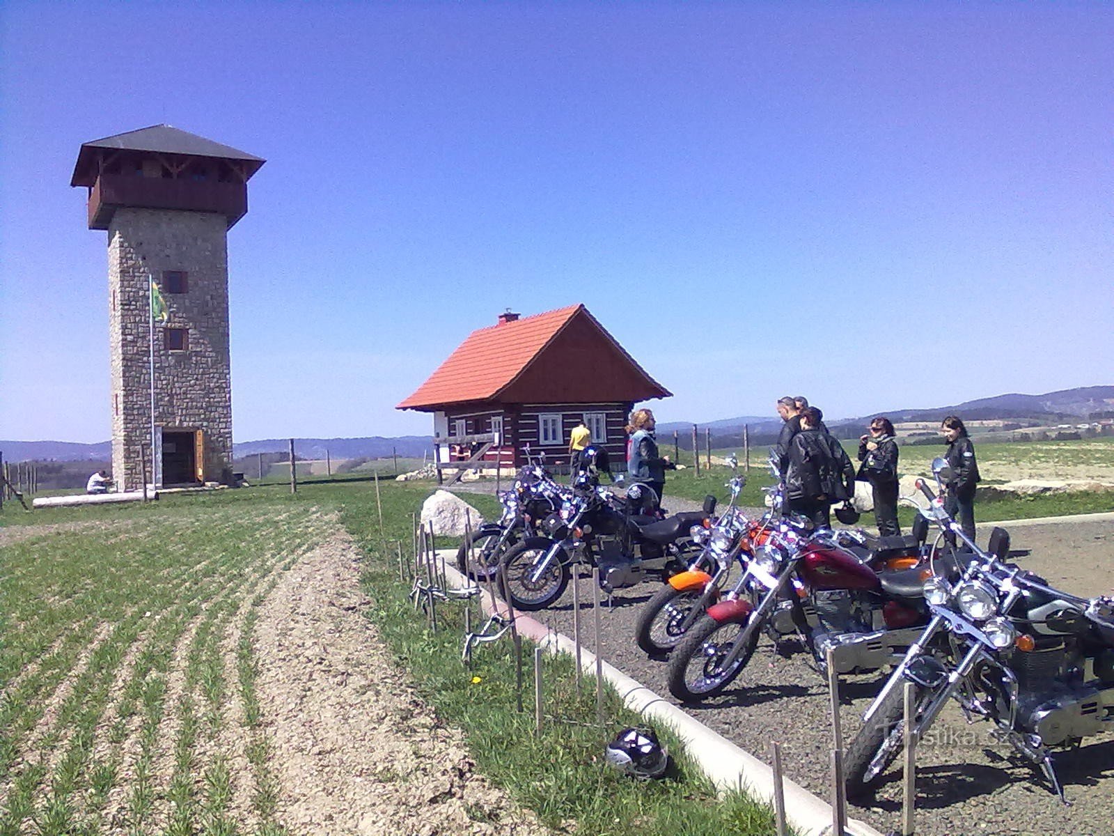 Point de vue Au pin