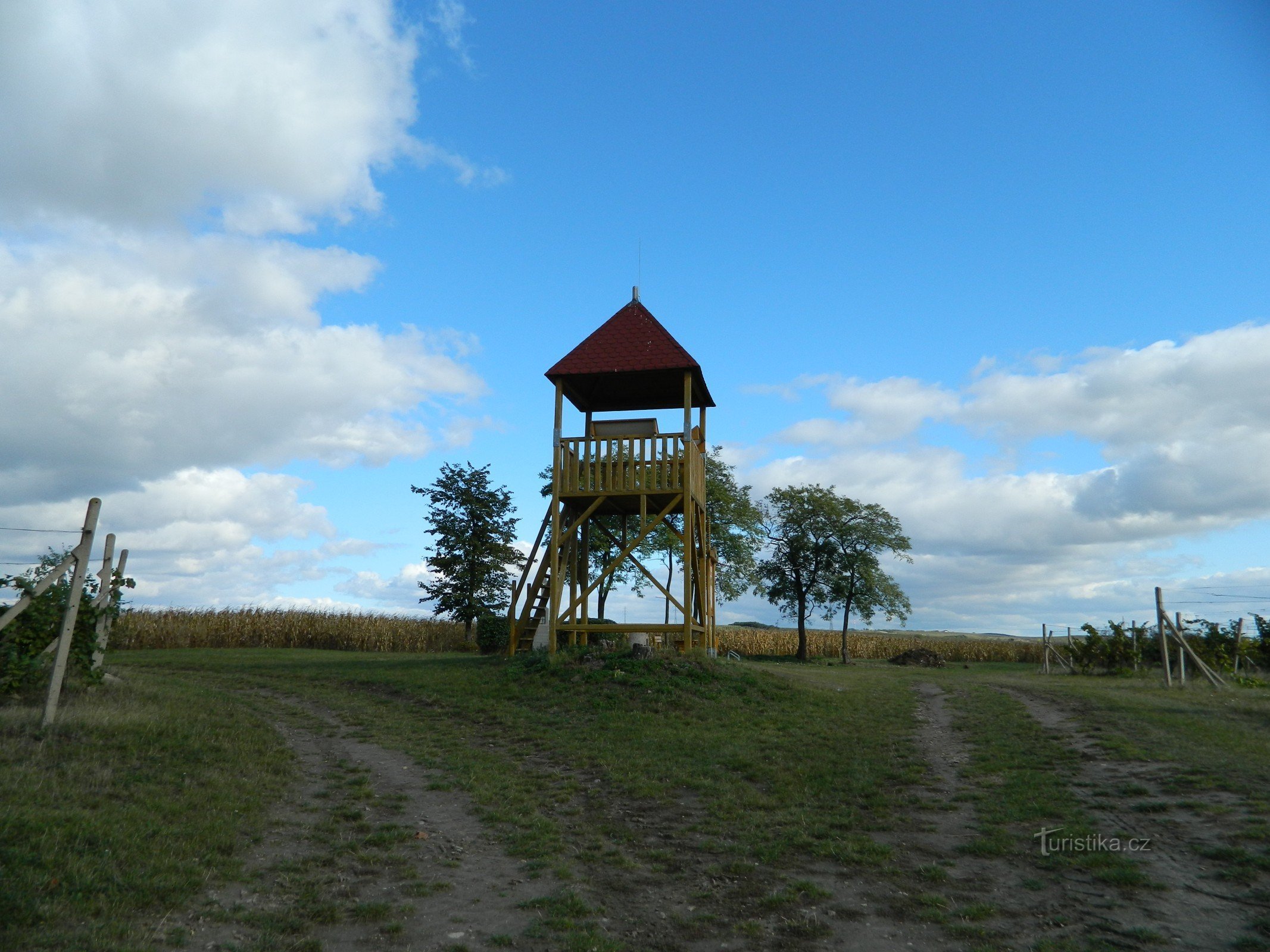 Wieża widokowa na zdjęciu