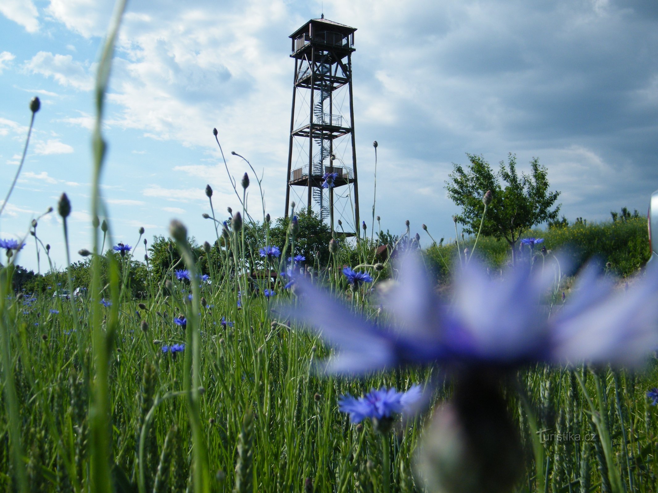 Turnul de observație Vrbice
