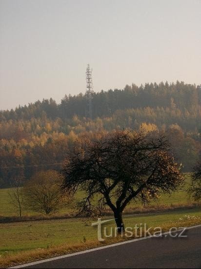 Wieża widokowa od północy: od północy, od drogi nr 27