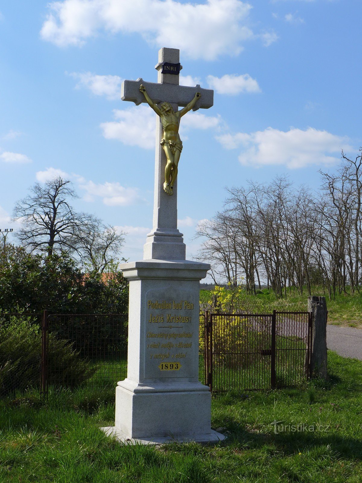 Delight - cross from 1893