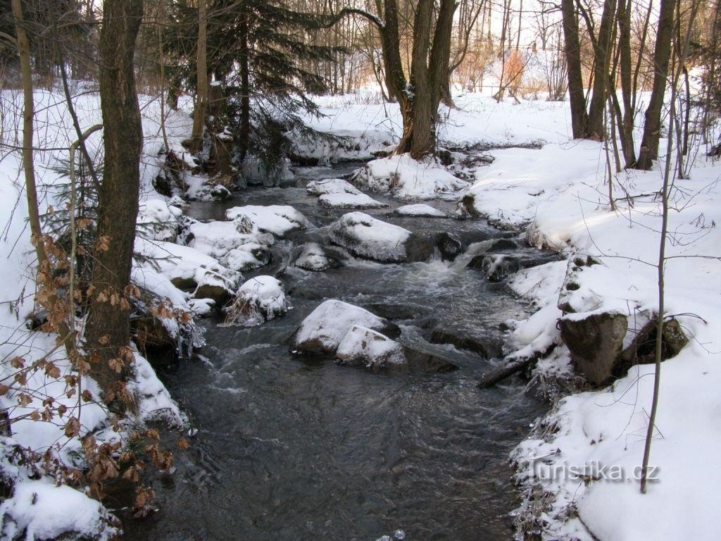 Rozkošský Bach unter dem Teich Drátovec I