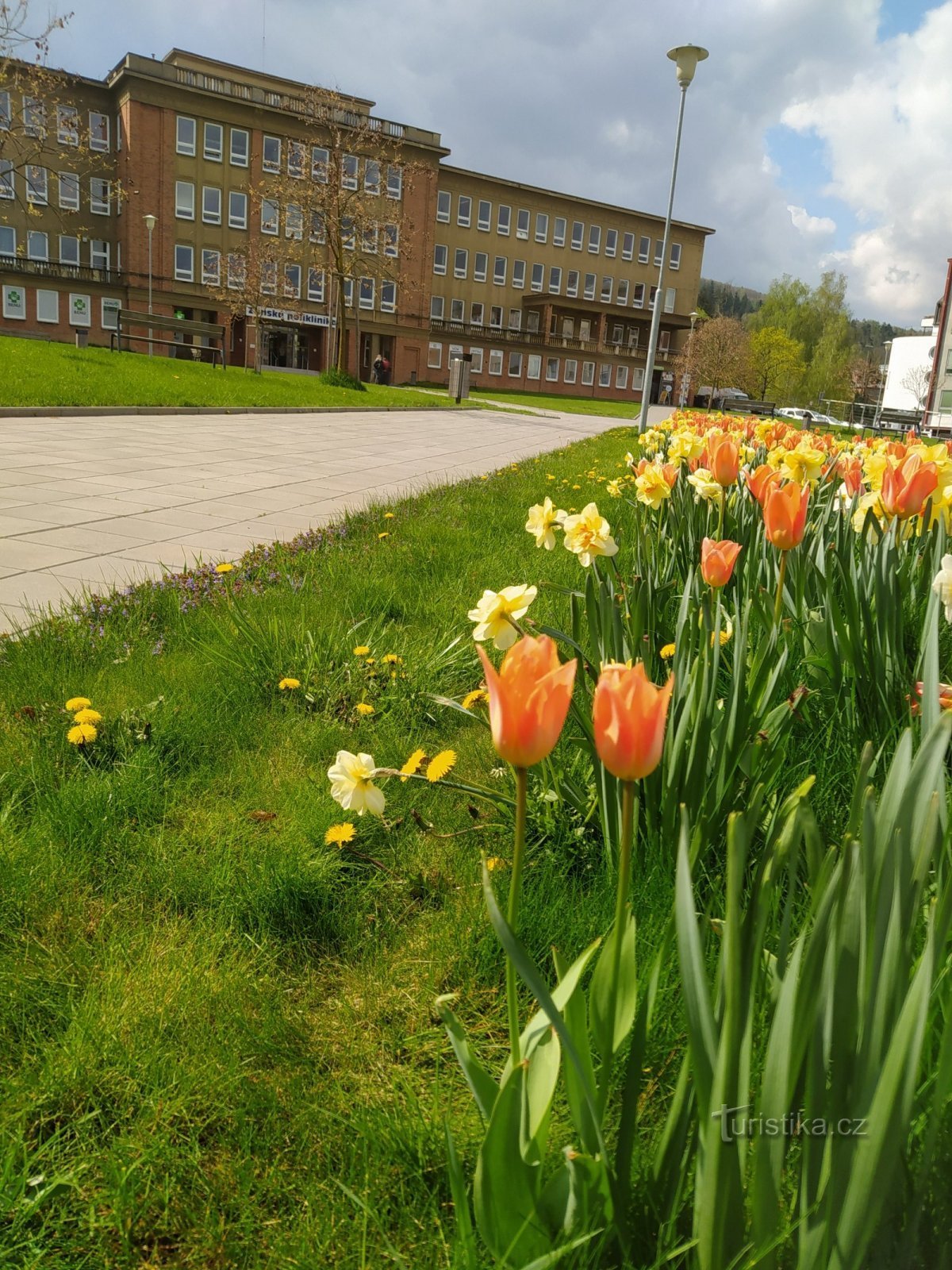 Blooming polyclinic... April 2021