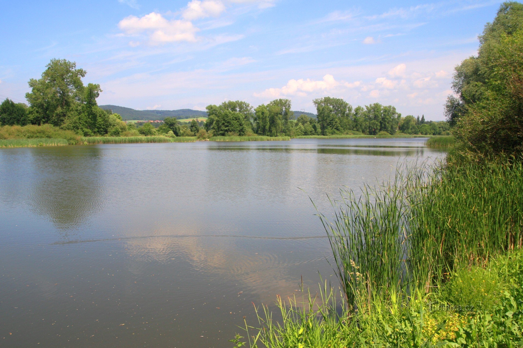 Veverská Bítýška近くの広大な湿地