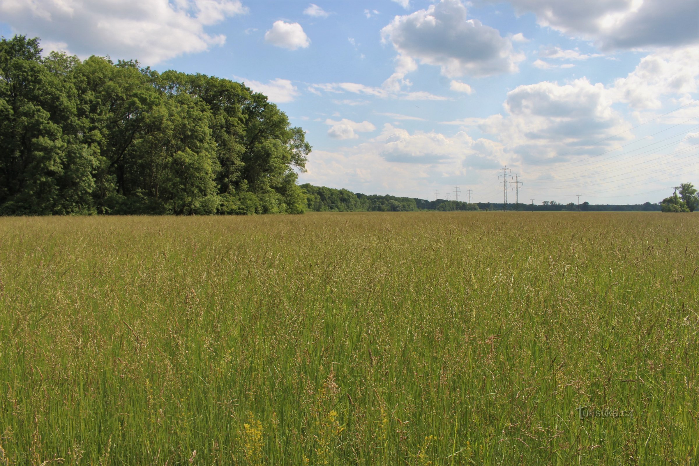 The vast Očovské meadows