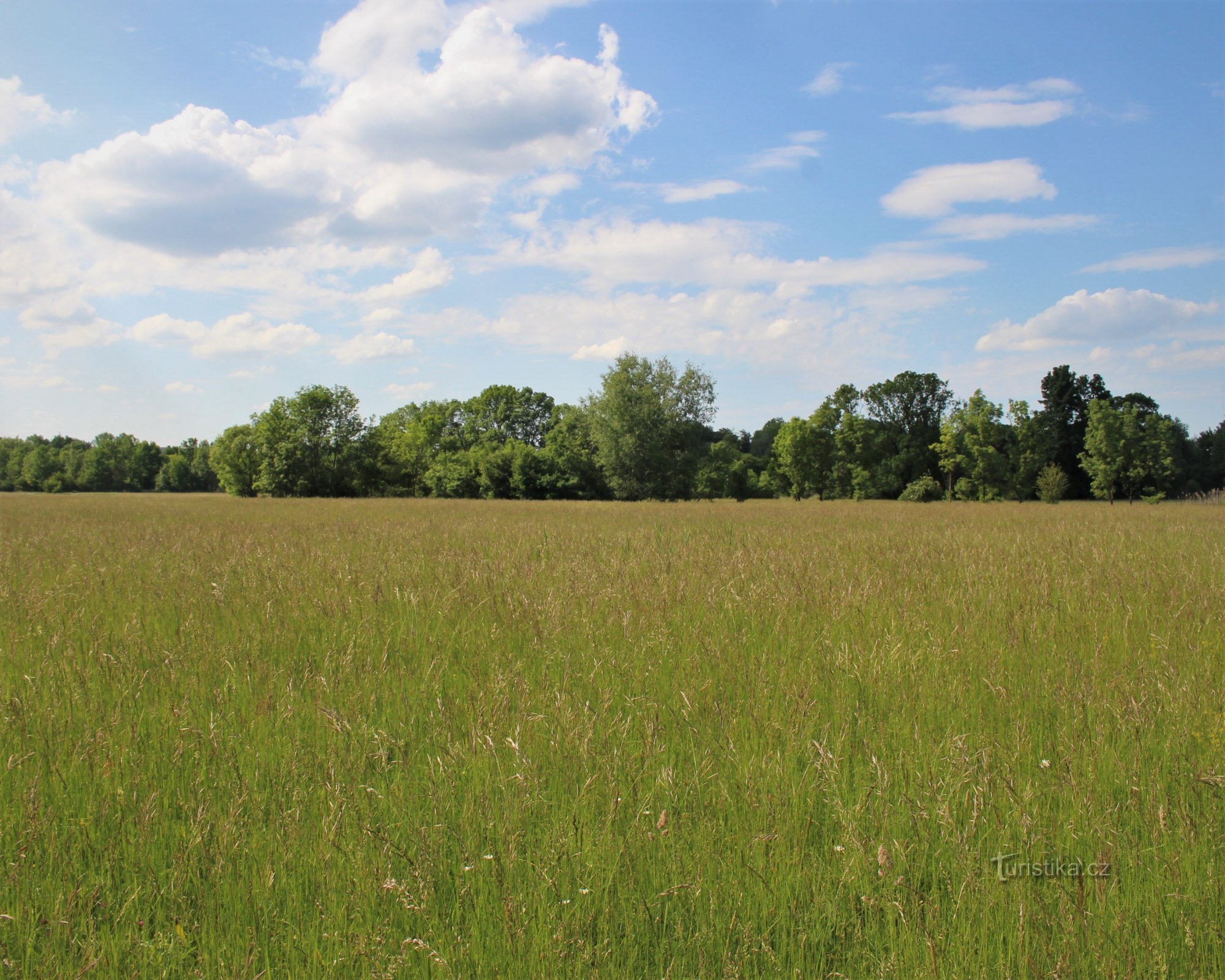 The vast Očovské meadows