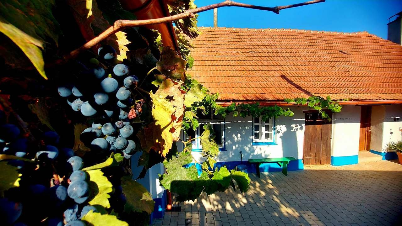 Rozmárýna cottage for rent Vrbice - yard