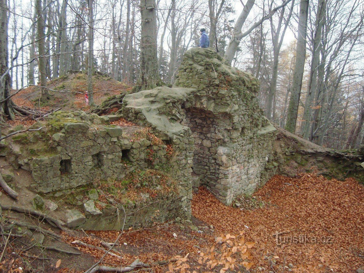 Rožnov pod Radhoštěm-Castello di Rožnov-Foto: Ulrych Mir.