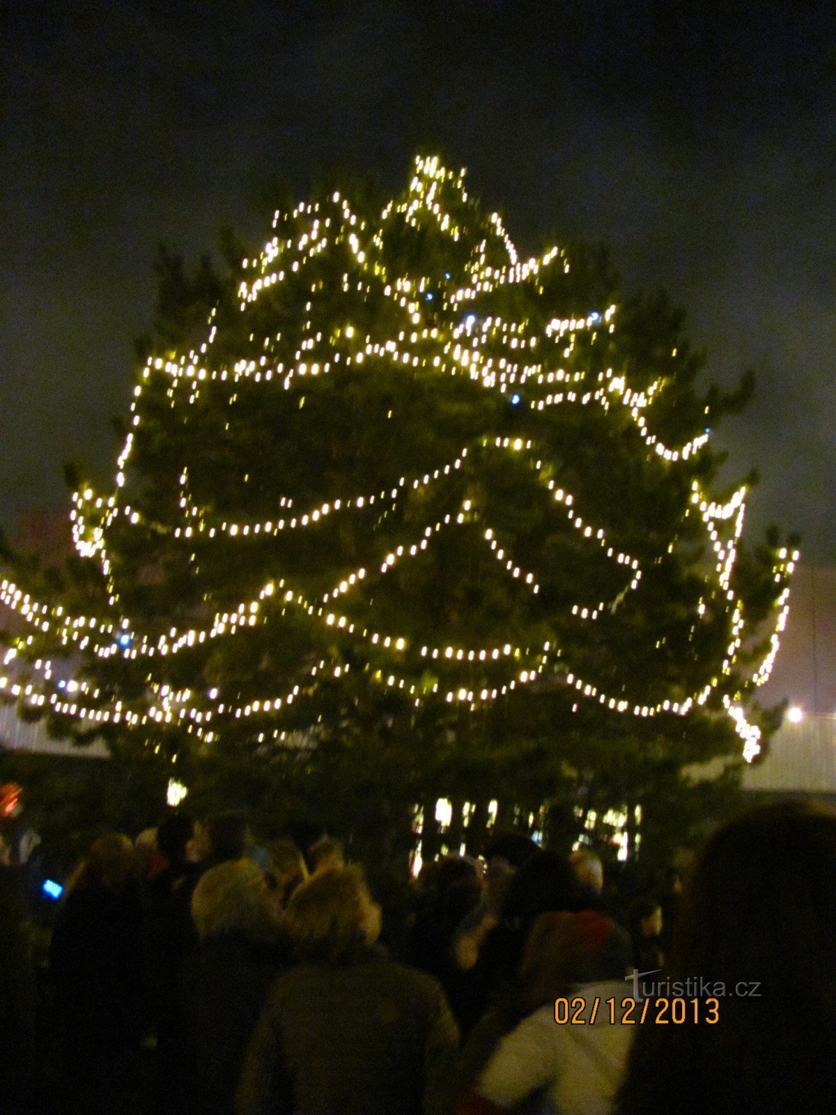 Prižiganje božičnega drevesa z Moniko Absolonovo
