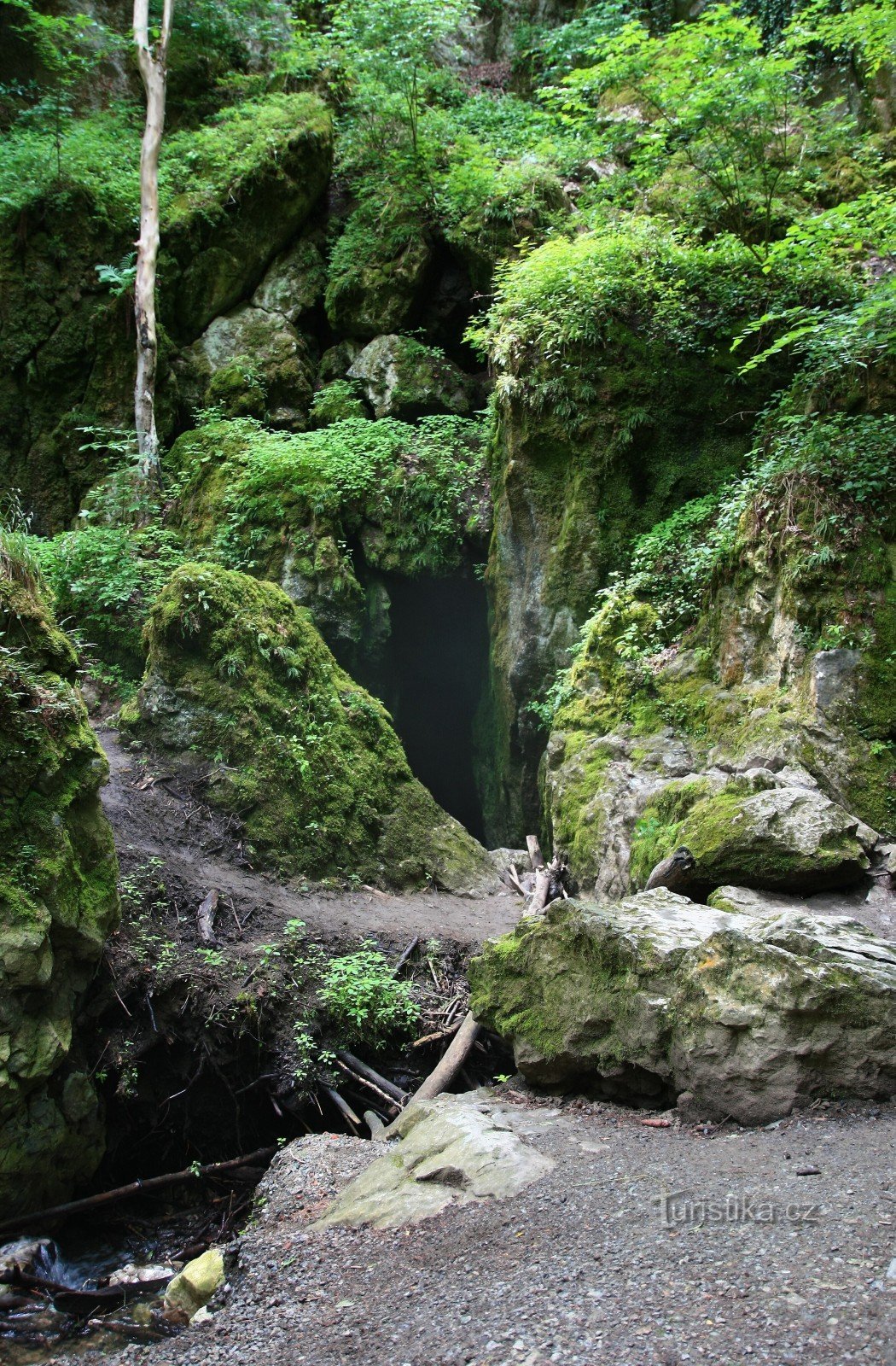 Doline Rudice - die Stelle, wo der Bach Jedovnické in das Höhlensystem versinkt - Rudice