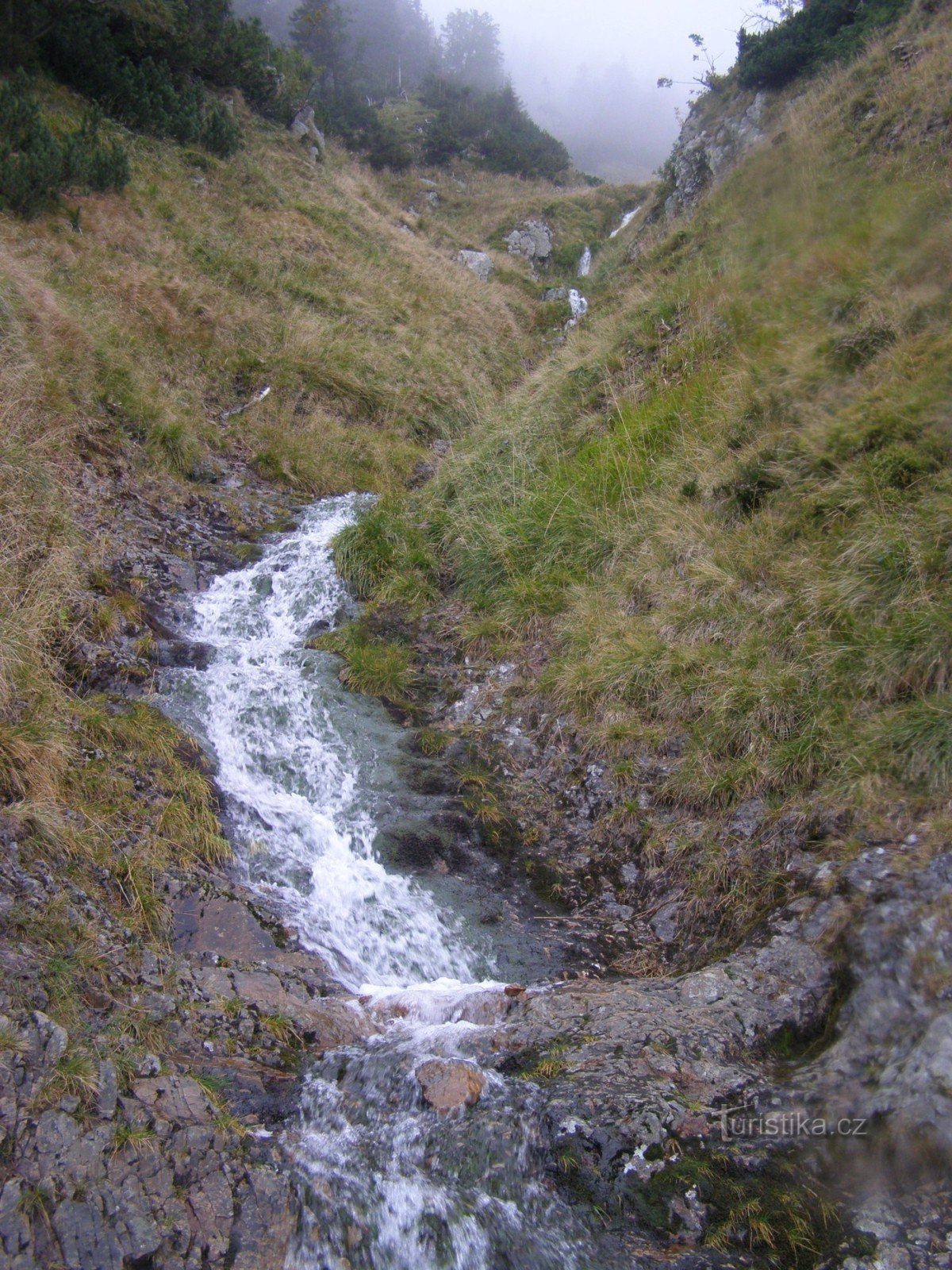 Ore Ravine