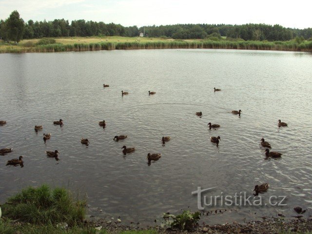 Rumburk - en by i Šluknov højderyggen