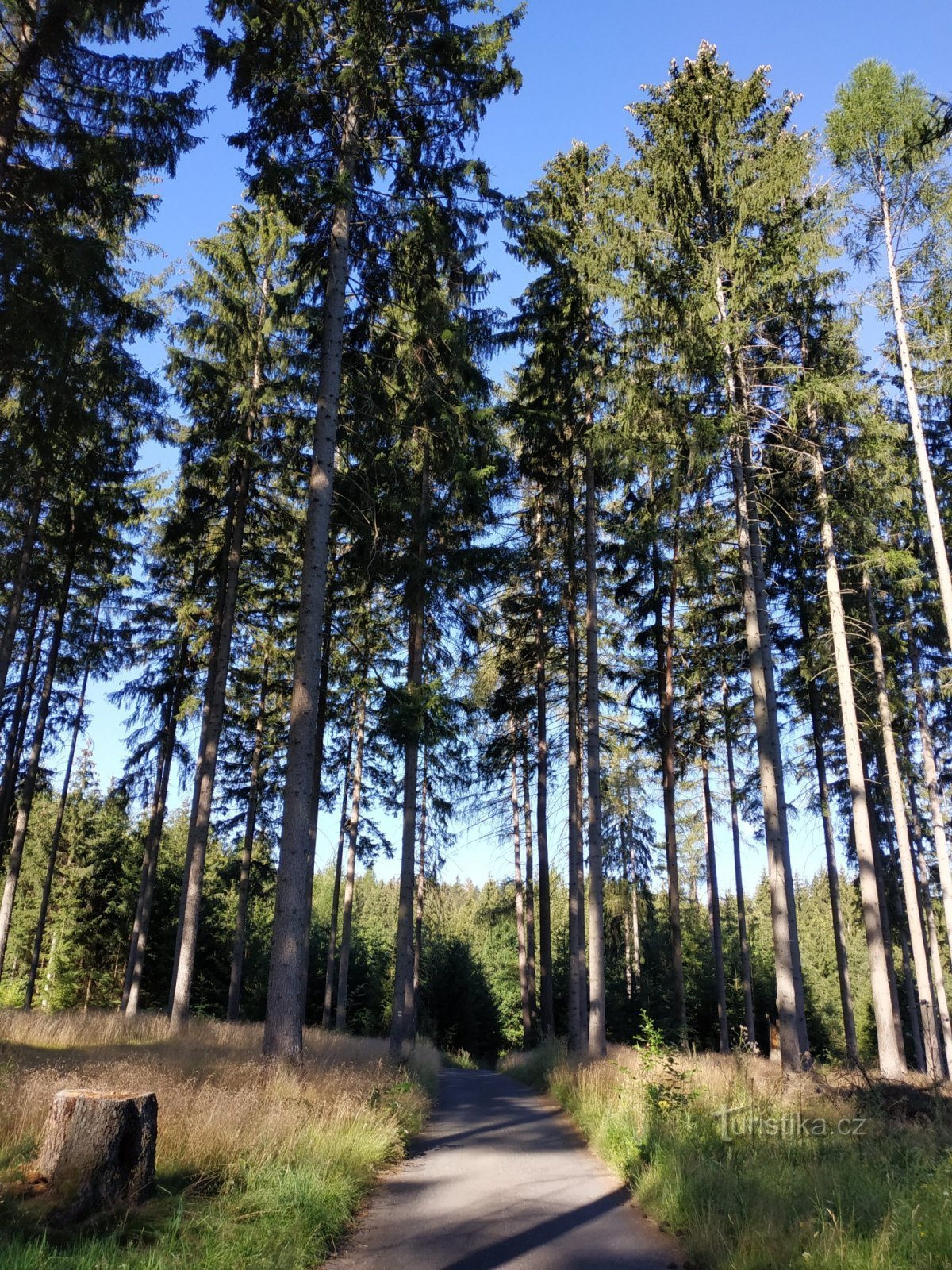 Rumburk-Skřivánčí field-Vlčí Hora-Kyjovské údolí-Hely-Krasná Lípa