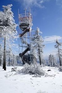 Pies Ruprechta w Górach Javory - wieża widokowa