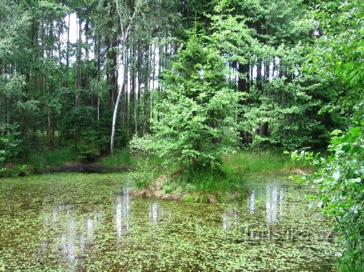 Der Teich von Rusalča