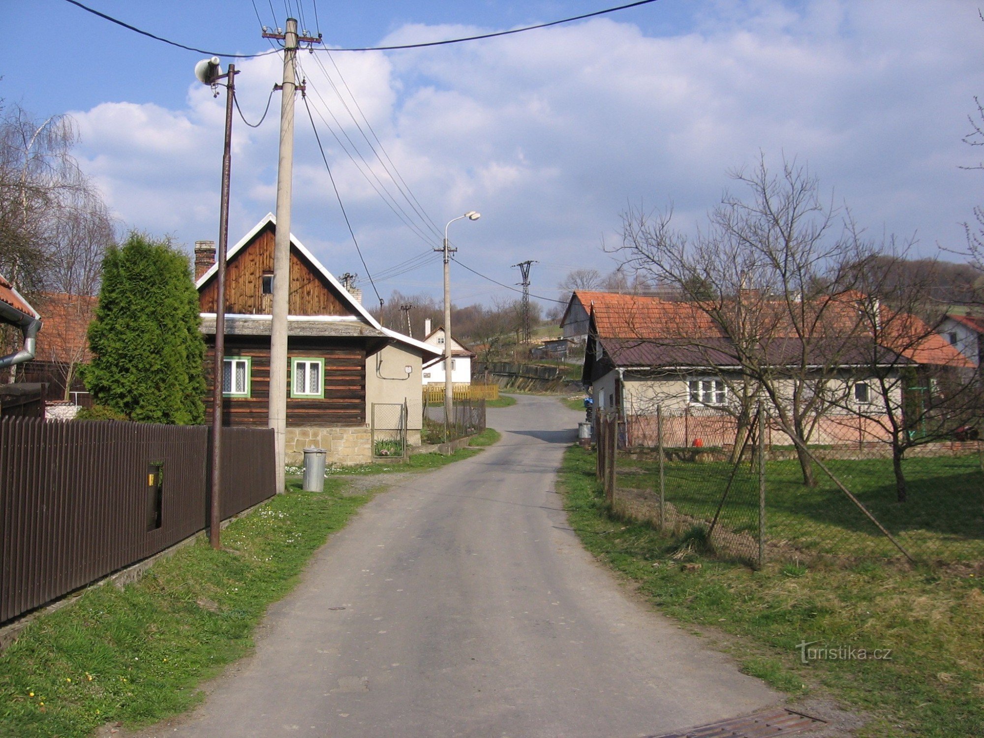 Rózsa