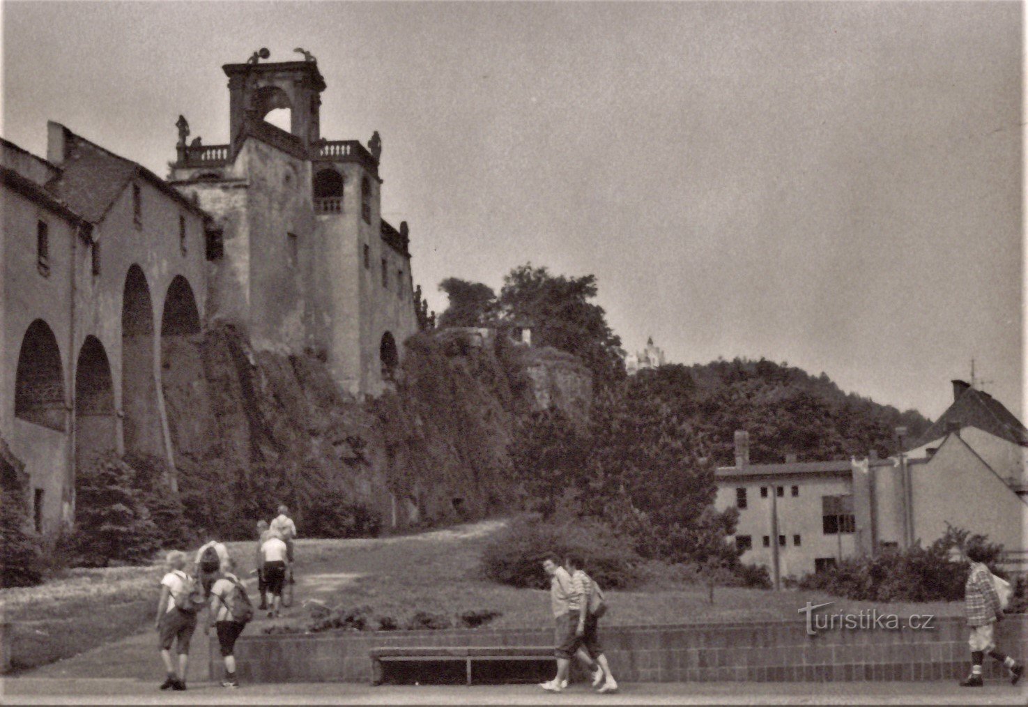 Jardim de rosas