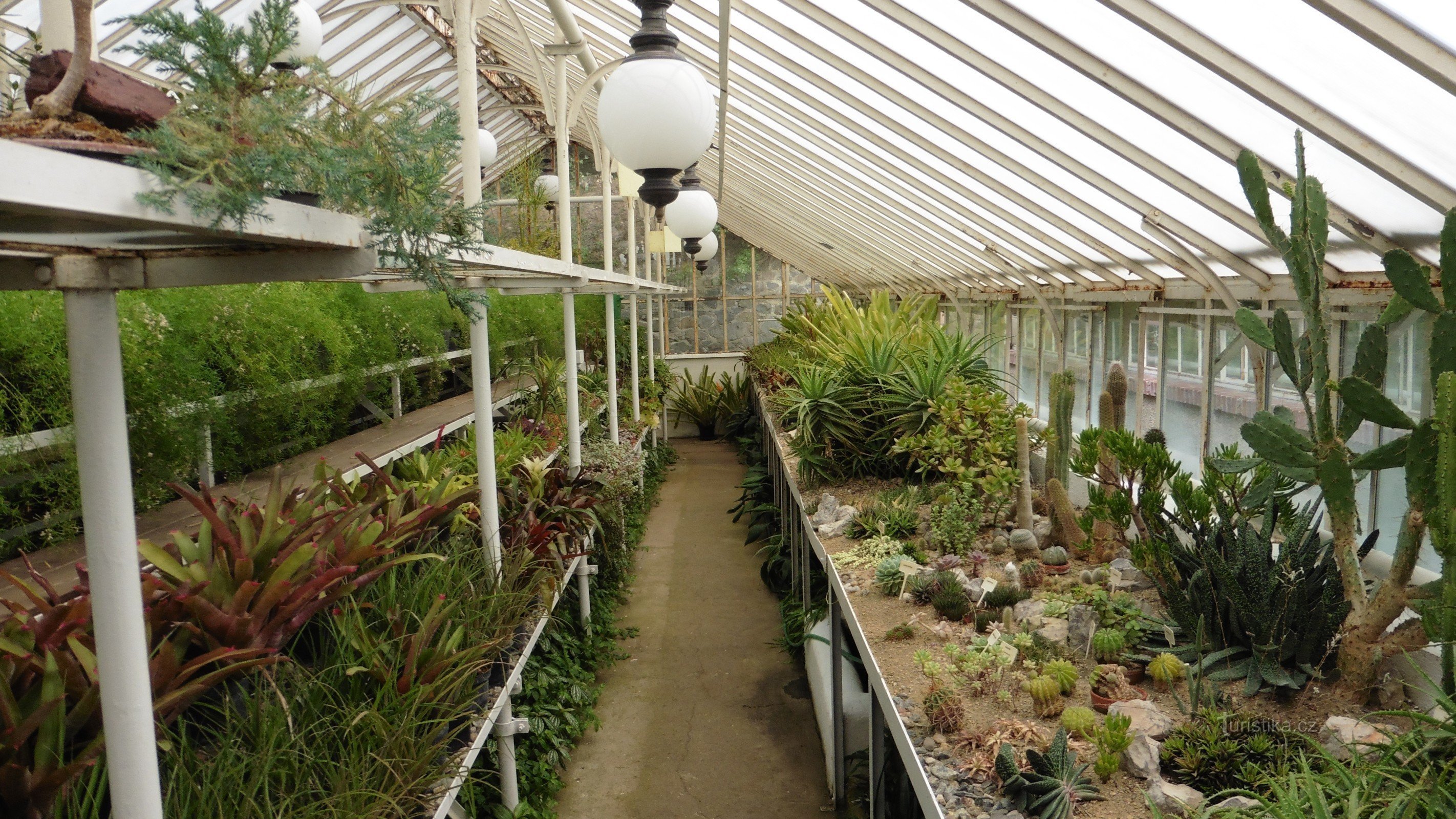 Rose garden and greenhouse in Konopiště