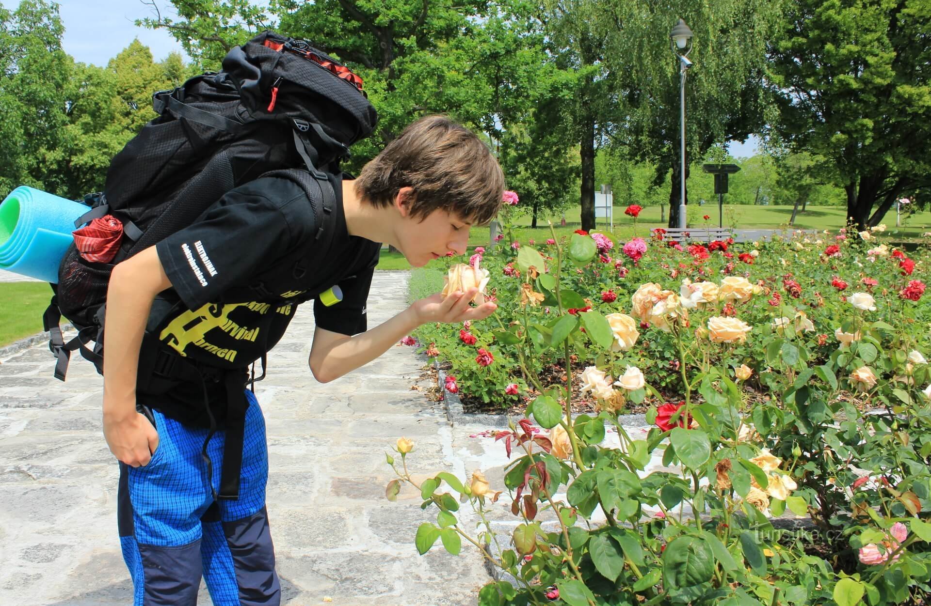 Jardín de rosas en Lidice. La música que ablandará a todos está ganando desde los altavoces. :)