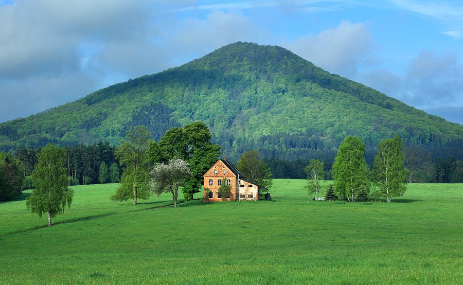 Collina Rosa