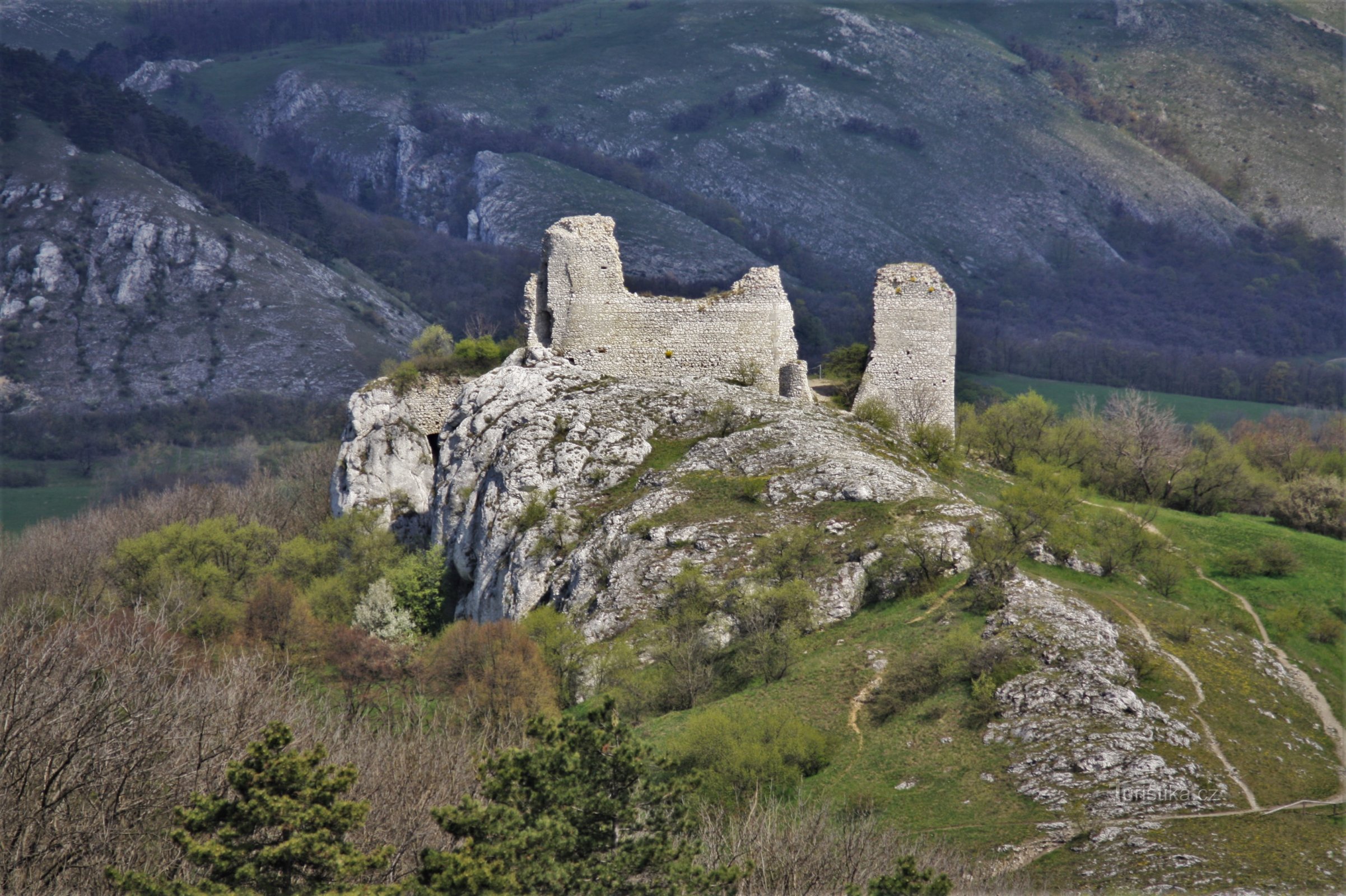 Rózsaszín domb Árvavárral