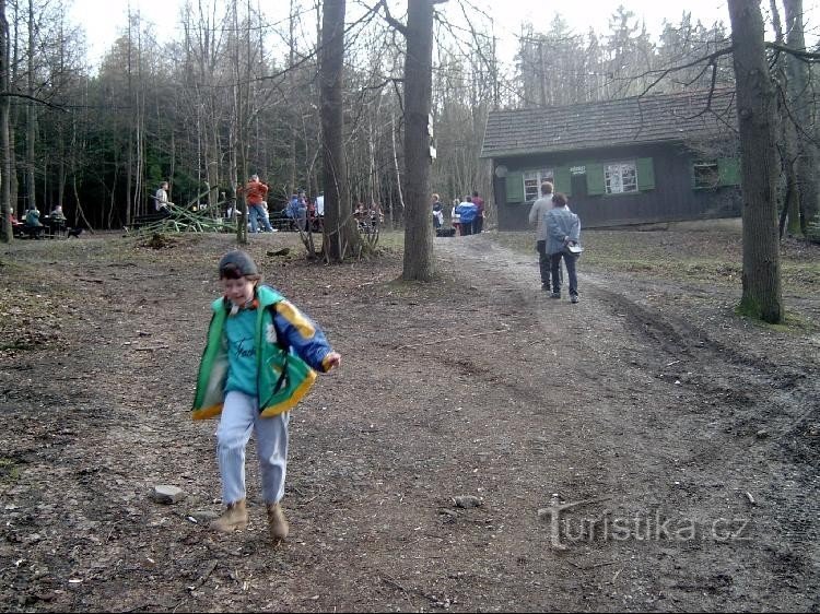 Riba: Šumska pivnica Puntík