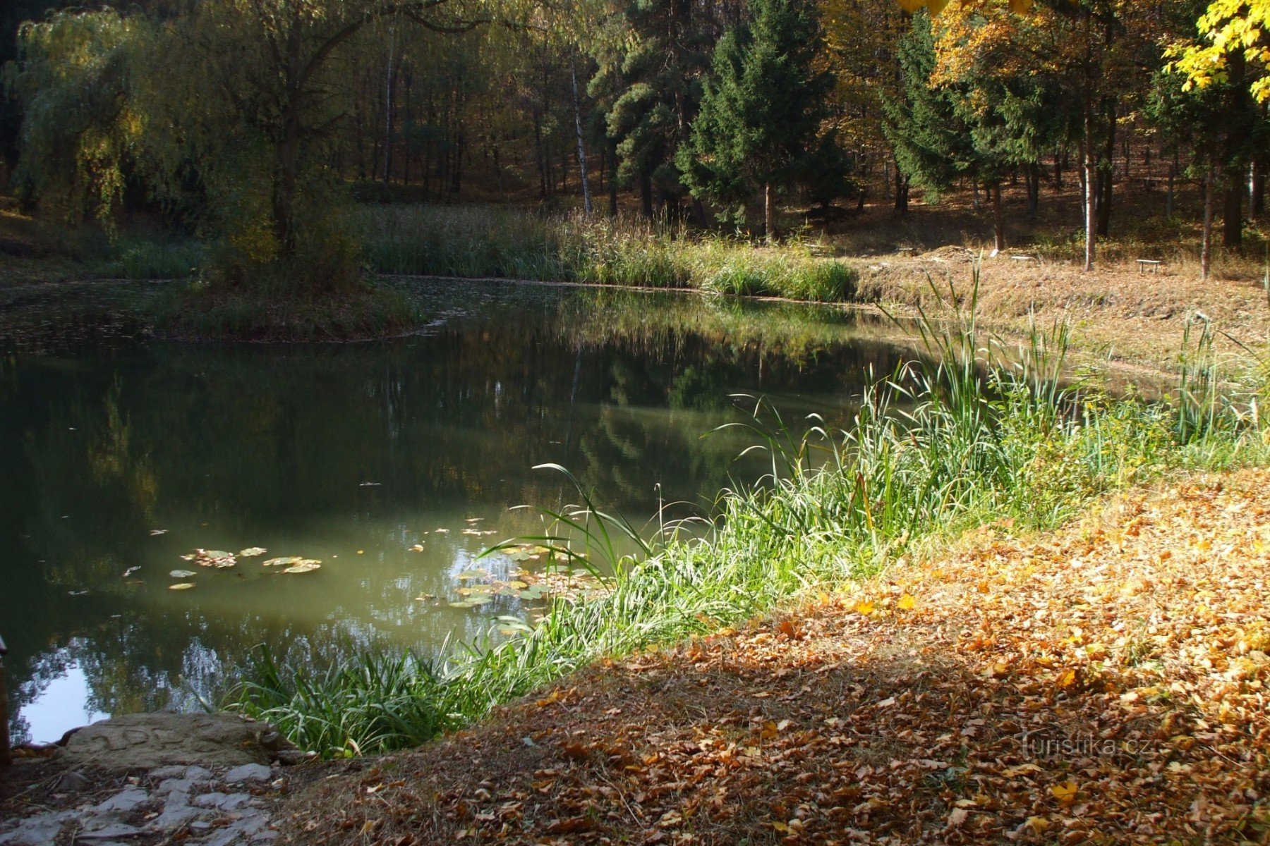 Teich auf Chlum