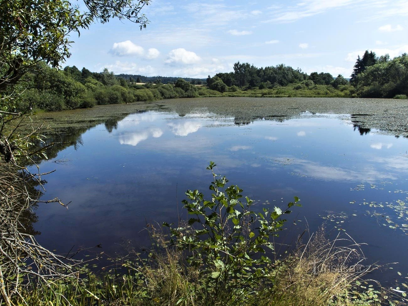 Pond On The Mokré