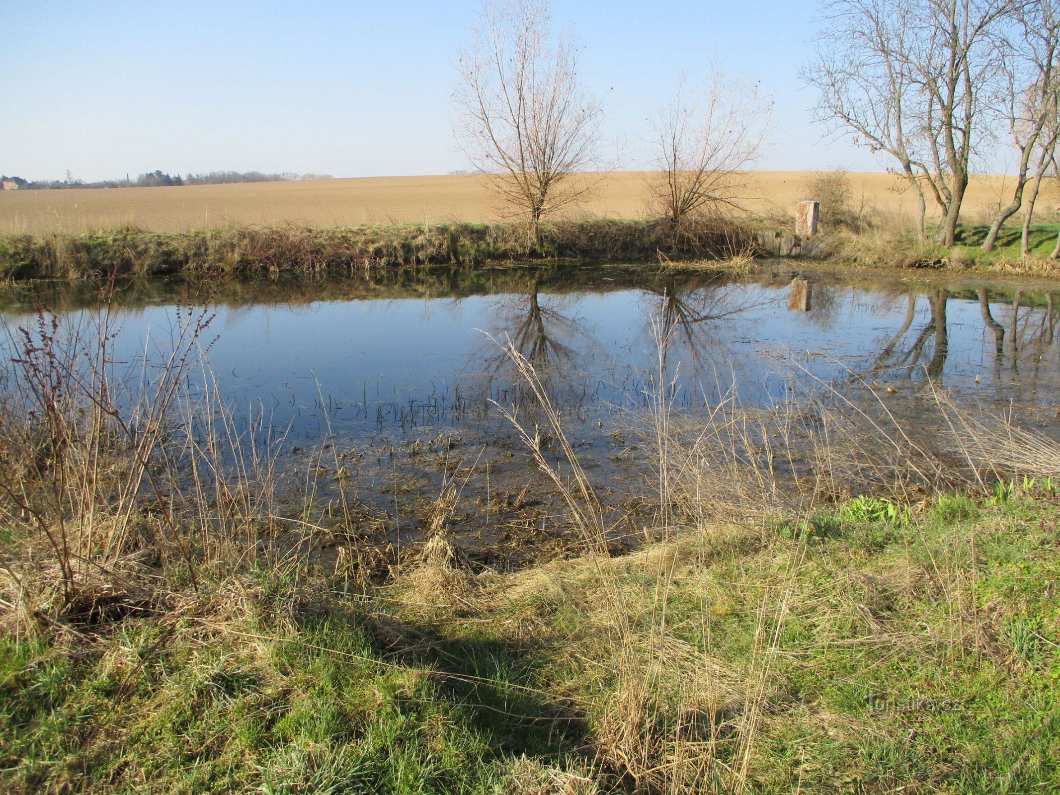 Rybníček Na Polou (Stěžery, 5.4.2020)