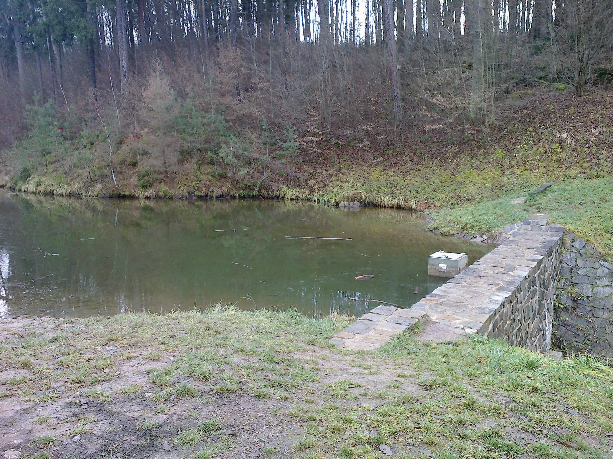 Teich an der Kreuzung