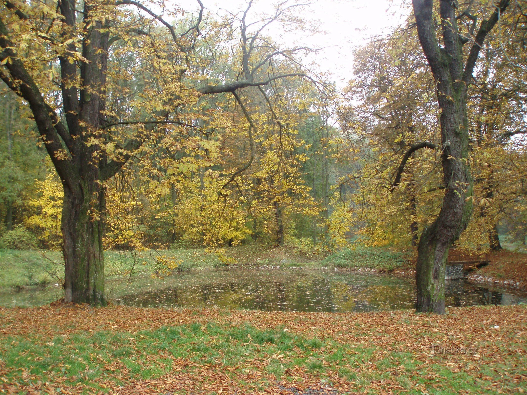 Vijver onderweg