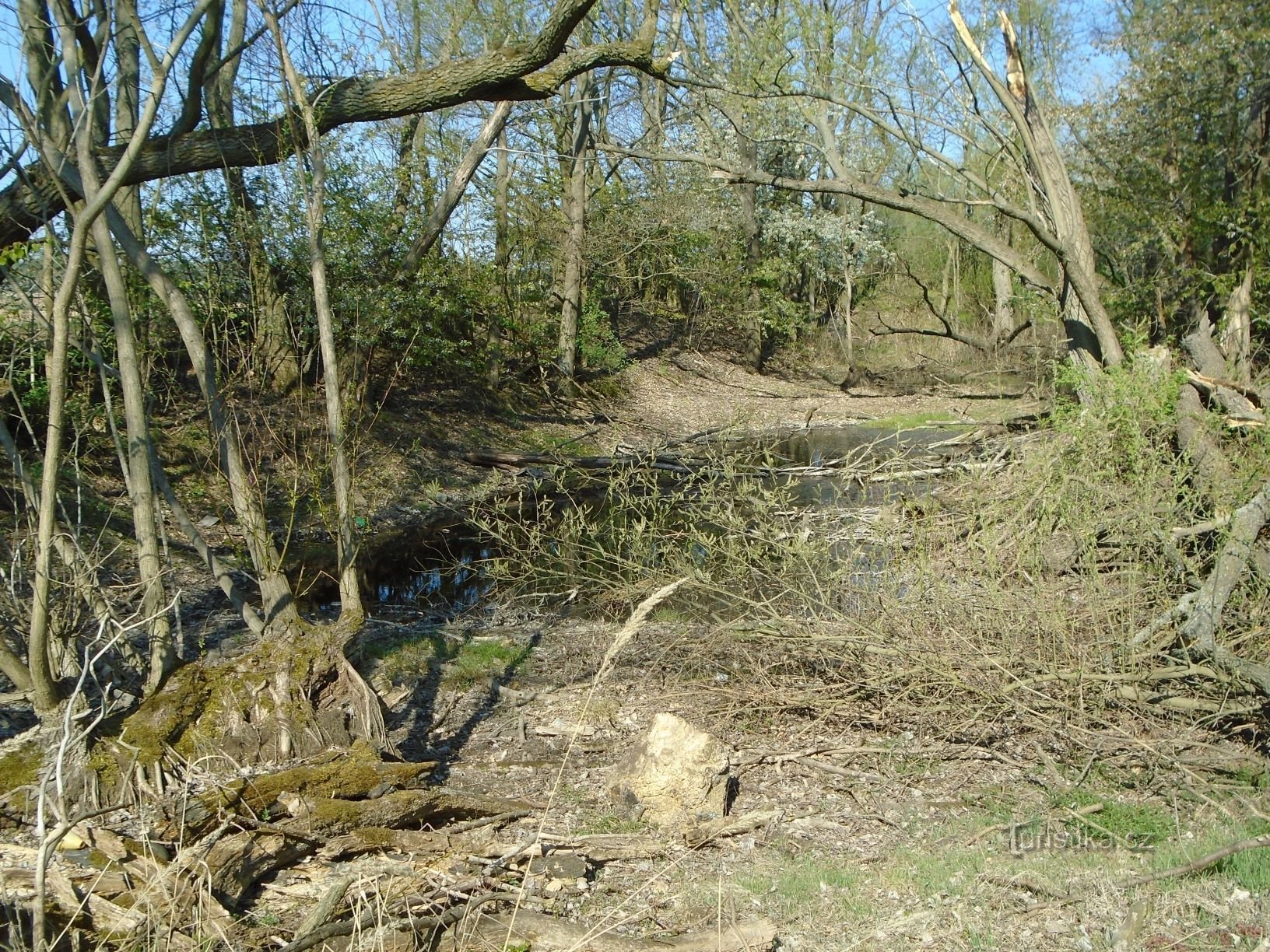 Ribnjak na putu od Chaloupeka do Bríze (19.4.2019. travnja XNUMX.)