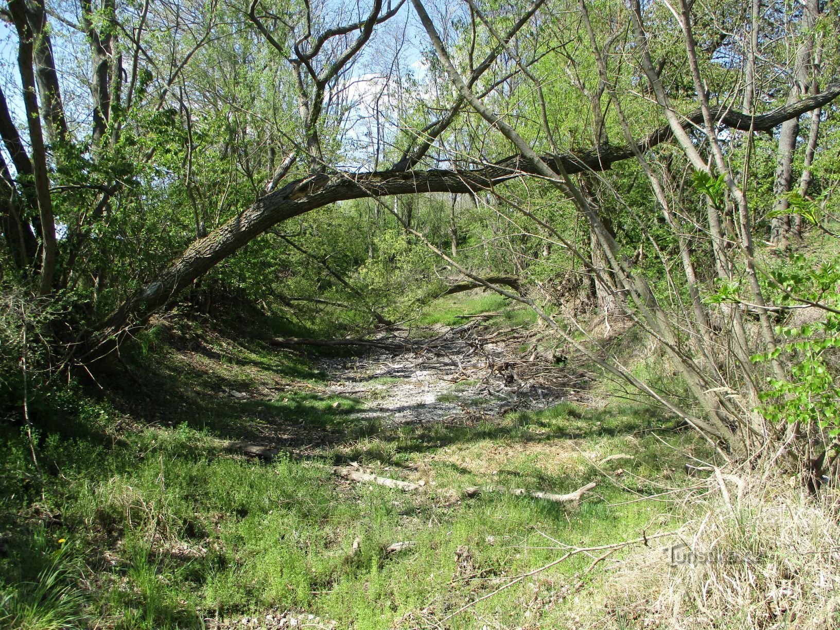 Ribnjak na putu od Chaloupeka do Bríze (27.4.2020. travnja XNUMX.)