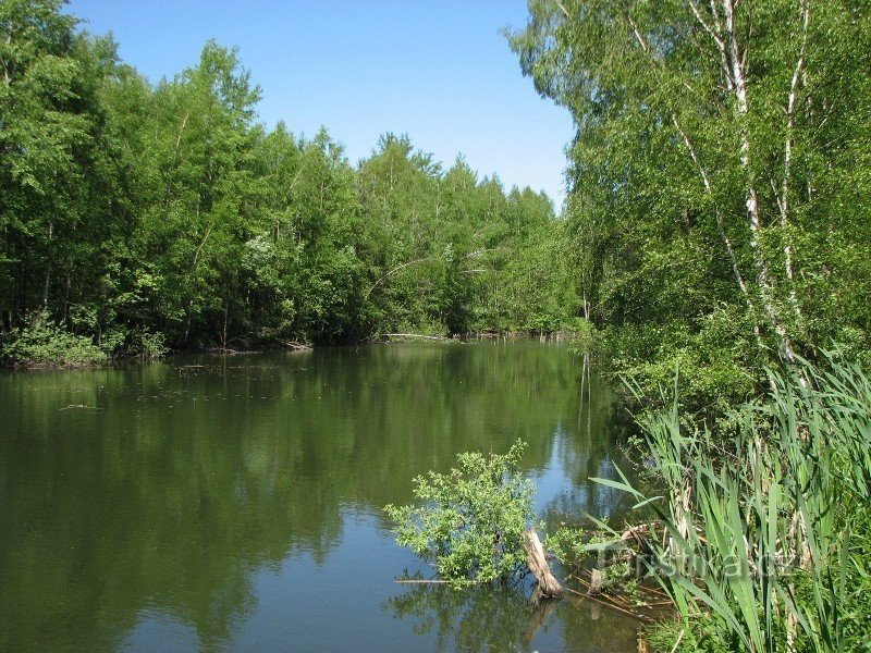 étang près du village de chalets près de Rynoltic