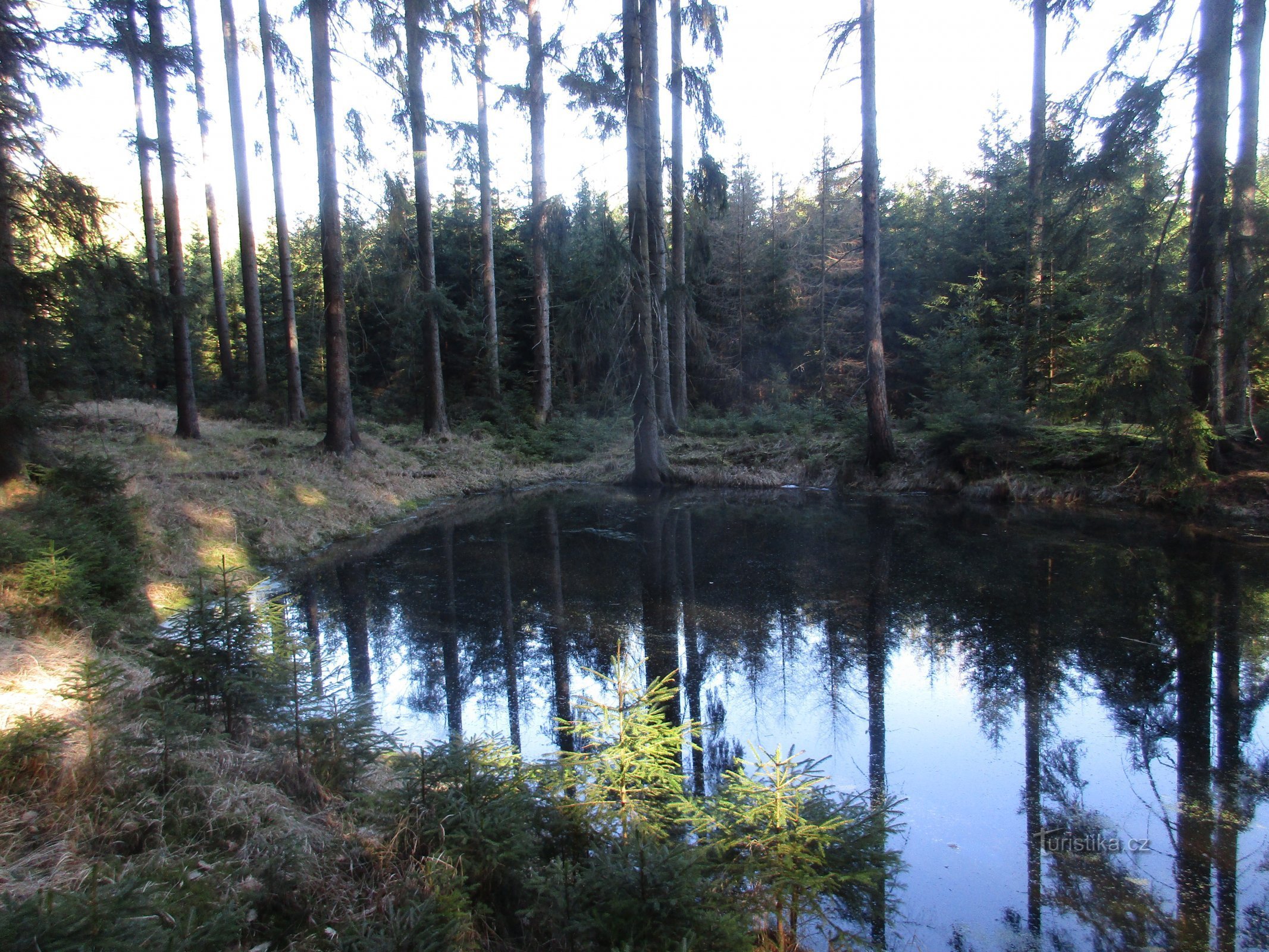 pond at the Hermit's