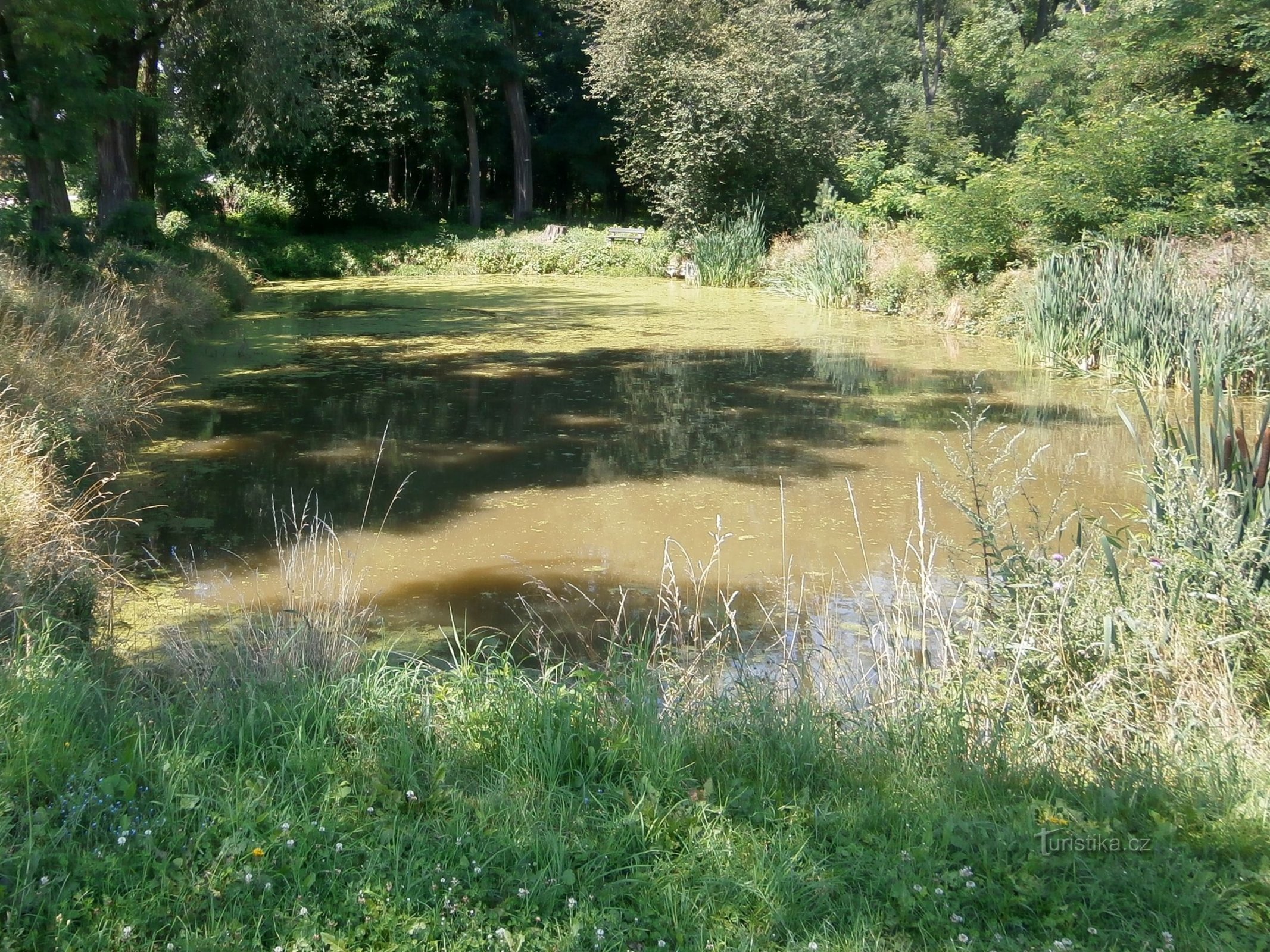 Teich an der Straße (Polizy, 16.7.2017)