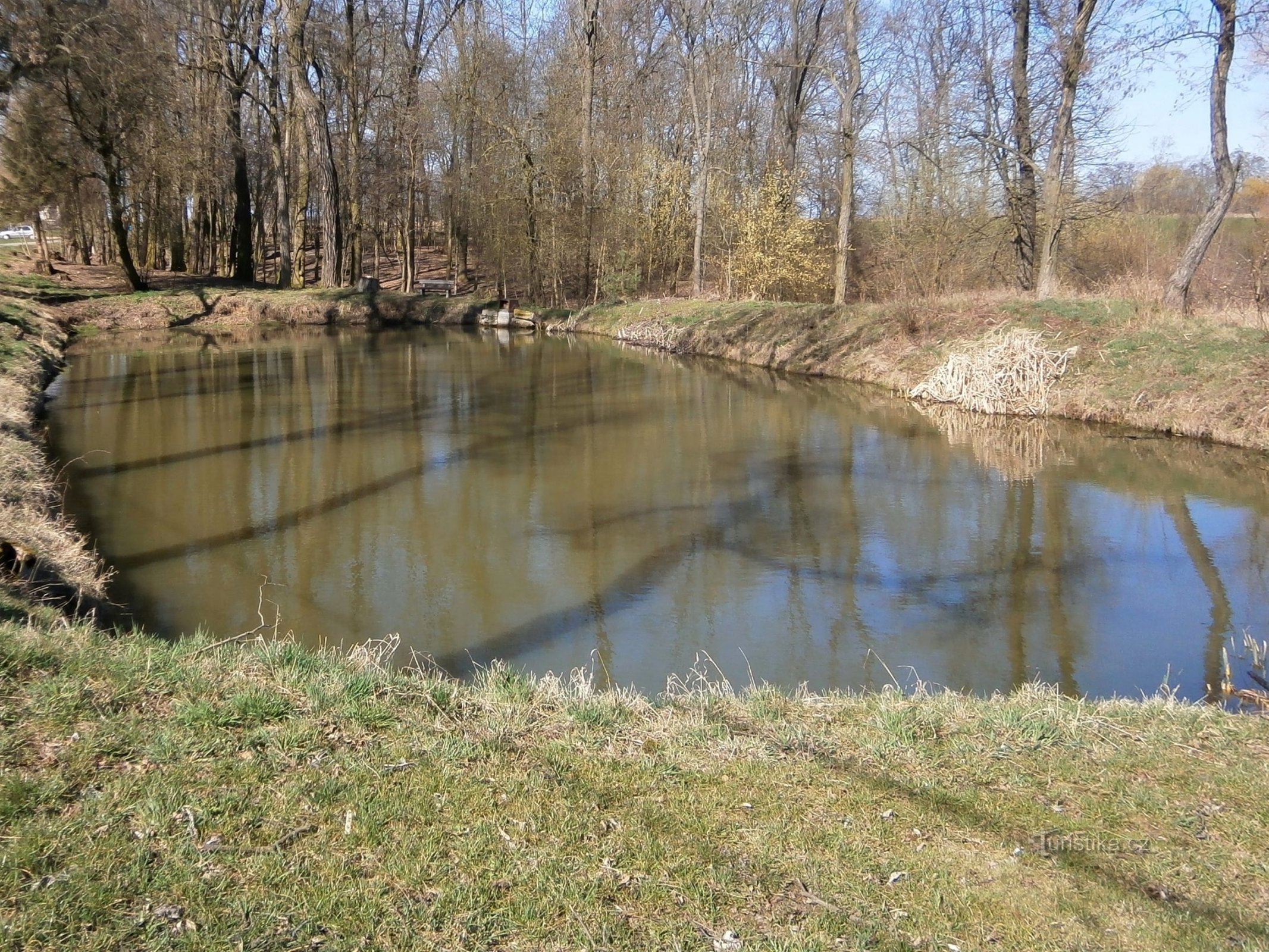 Teich an der Straße (Polizy, 26.3.2017)