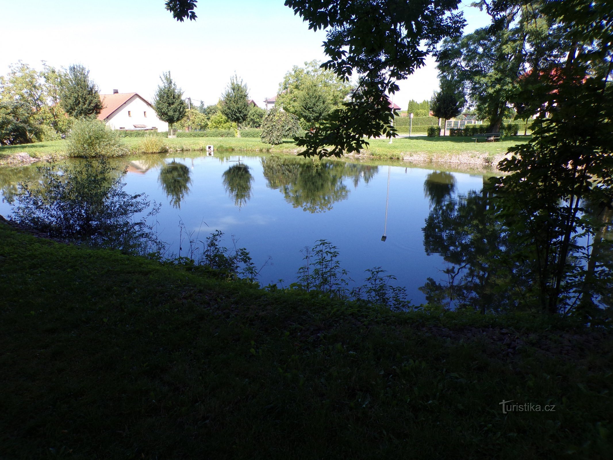 Lagoa perto do castelo (Dolní Přím, 15.8.2021/XNUMX/XNUMX)