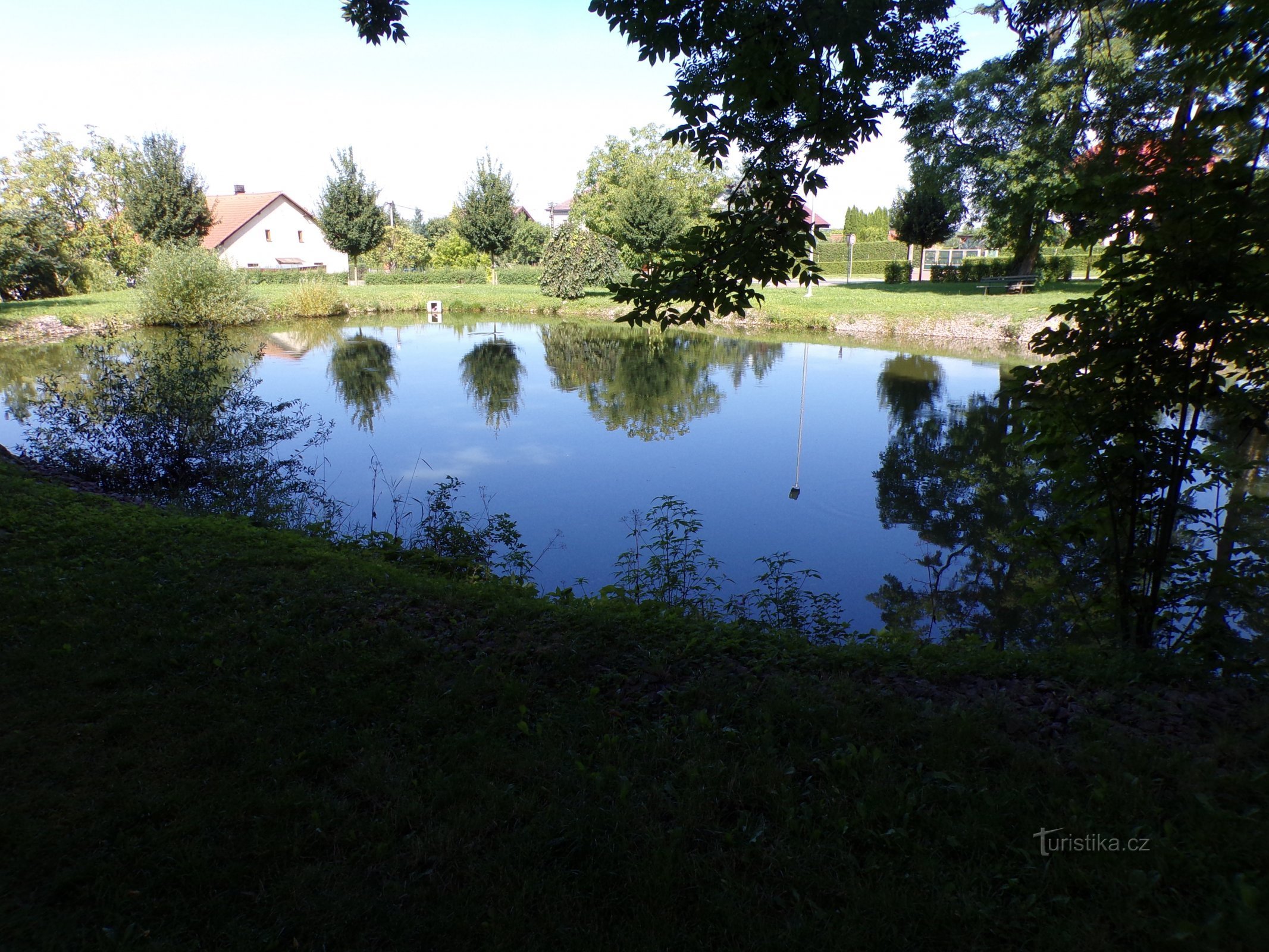 Pond near the castle (Dolní Přím, 15.8.2021/XNUMX/XNUMX)