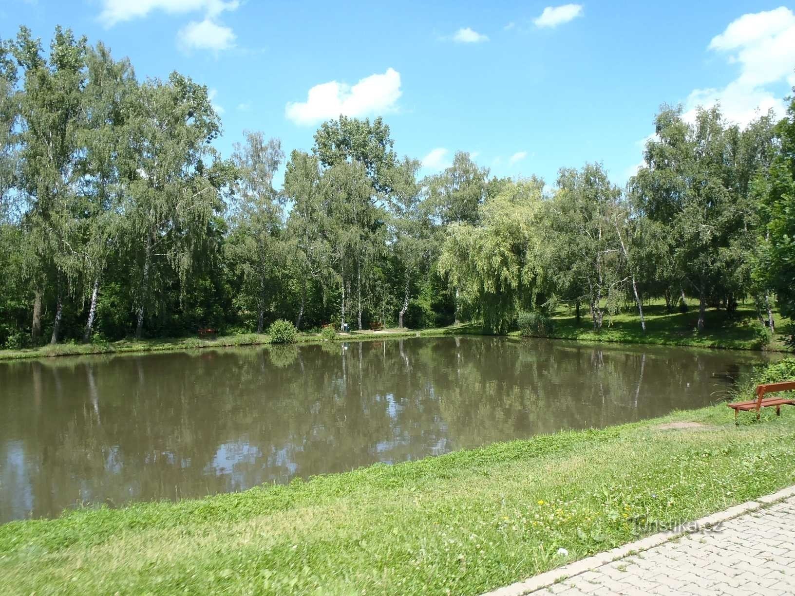 Teich in Běchovice - 15.6.2012