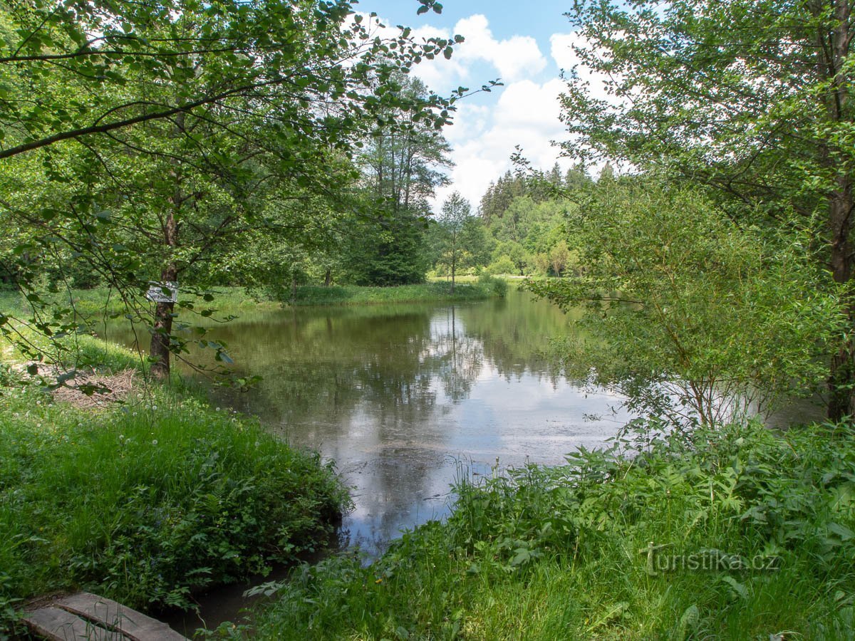 Een vijver in de Slowaakse vallei