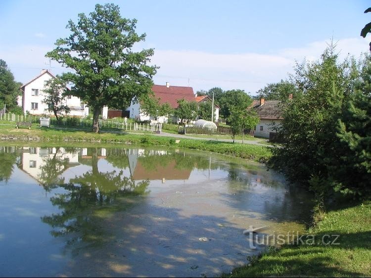 A pond in the center of the village