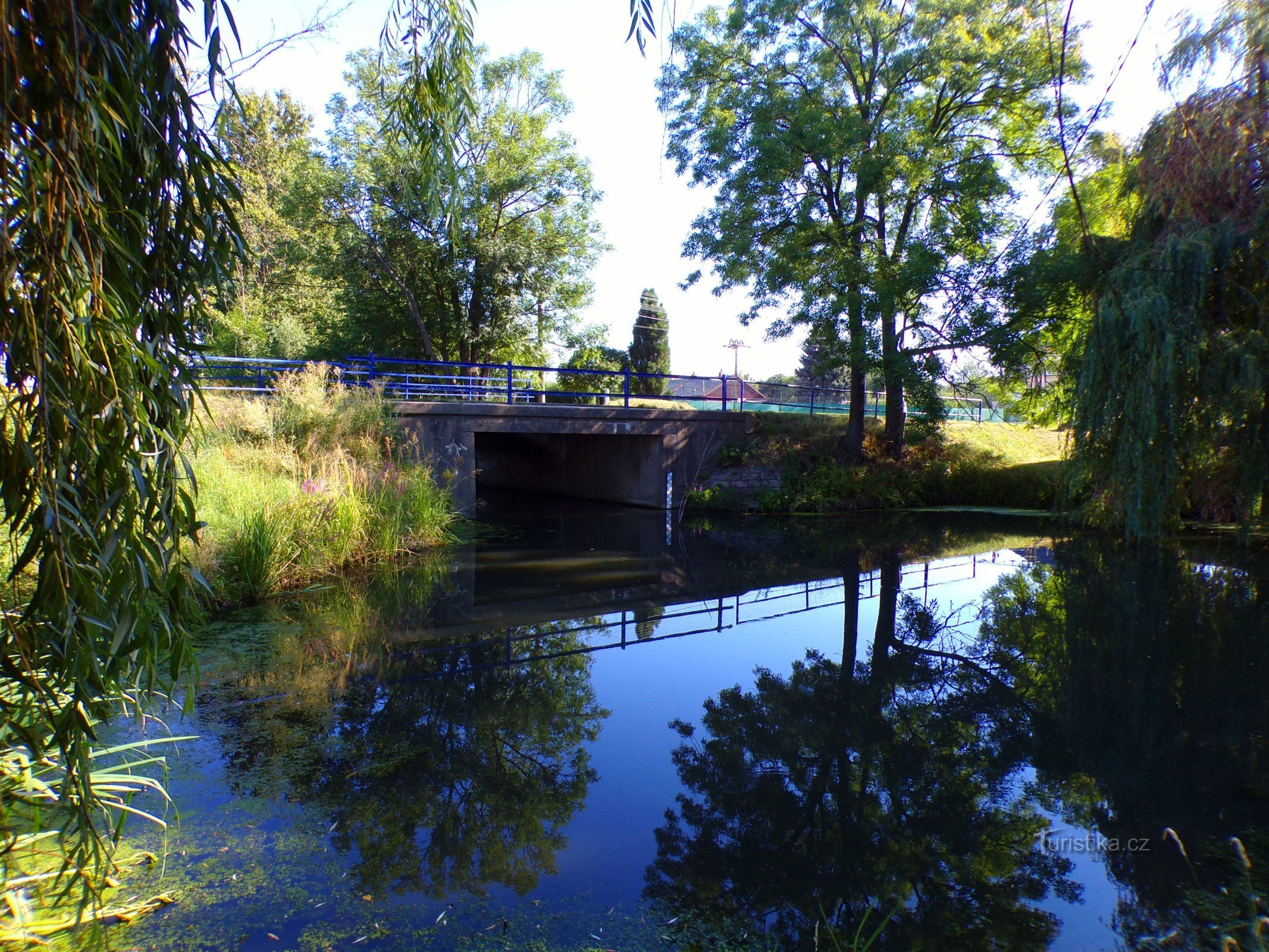 Rybníček Zbraň in Rusek (Hradec Králové, 4.8.2022. August XNUMX)