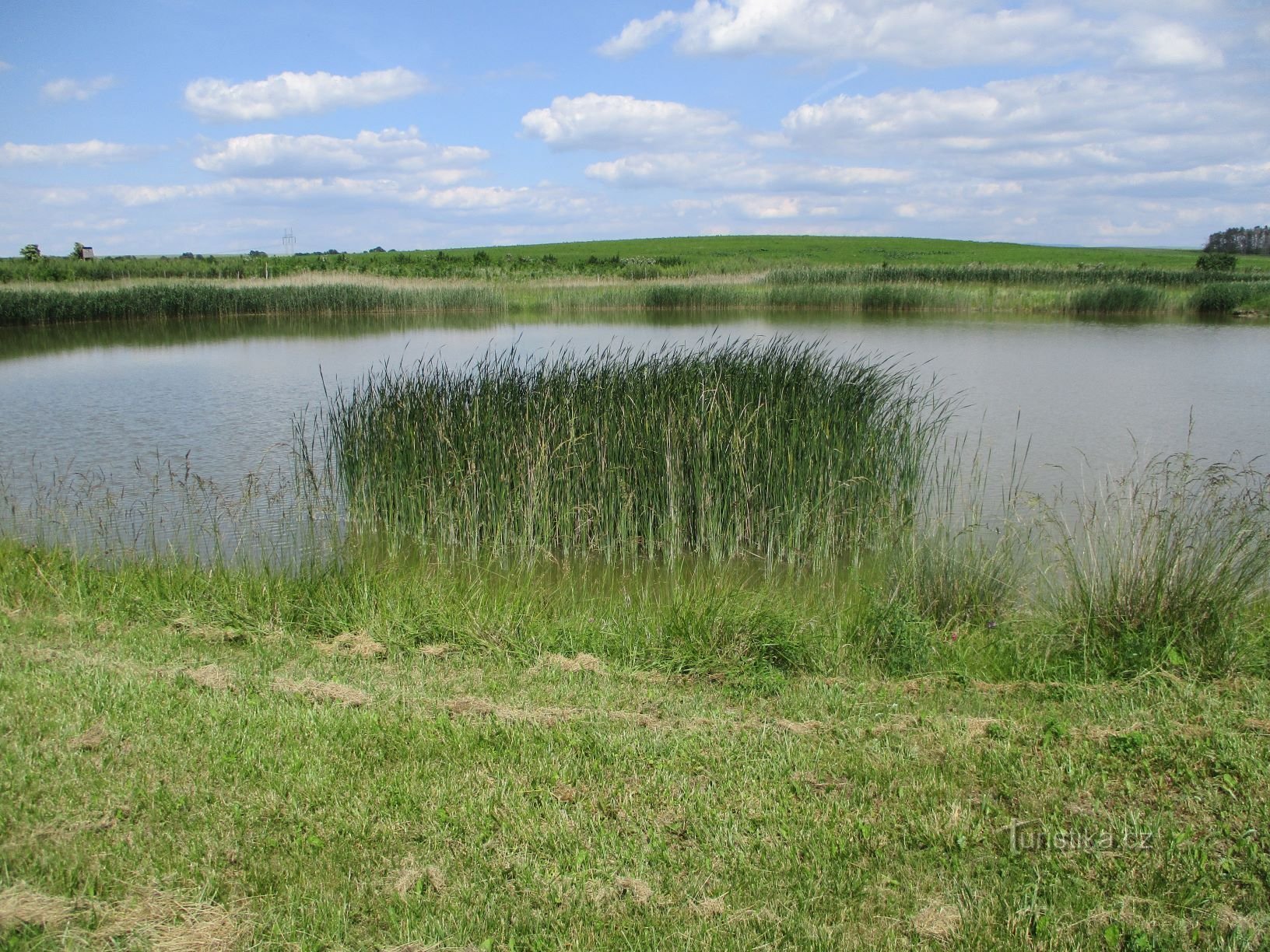 Ao tại Bělkách (Horní Černilov, 15.6.2020/XNUMX/XNUMX)