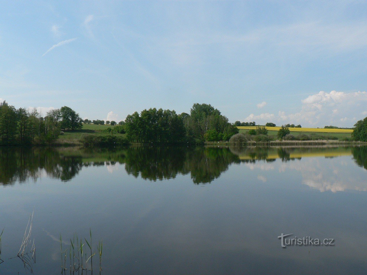 Pond America